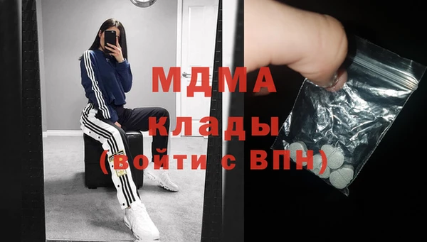 спиды Пересвет