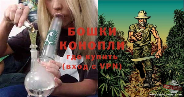 спиды Пересвет