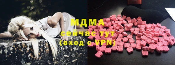 спиды Пересвет