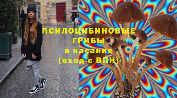а пвп мука Пестово